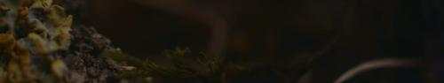 TTO video still; photo credit: Adriana Knouf