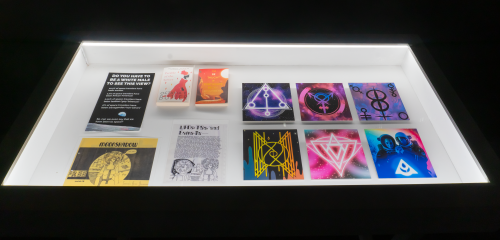 TX-2:MOONSHADOW QUEER vitrine as part of : REWILD at MAXXI; photo credit: Adriana Knouf